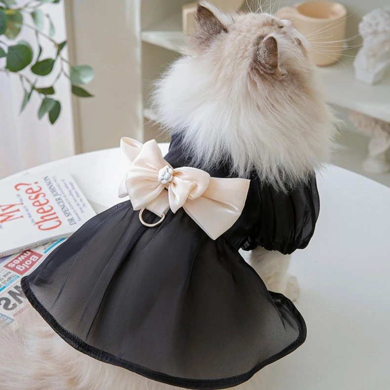 纯色大蝴蝶结连衣裙小猫咪衣服春秋猫猫布偶猫蓝猫幼猫宠物防掉毛