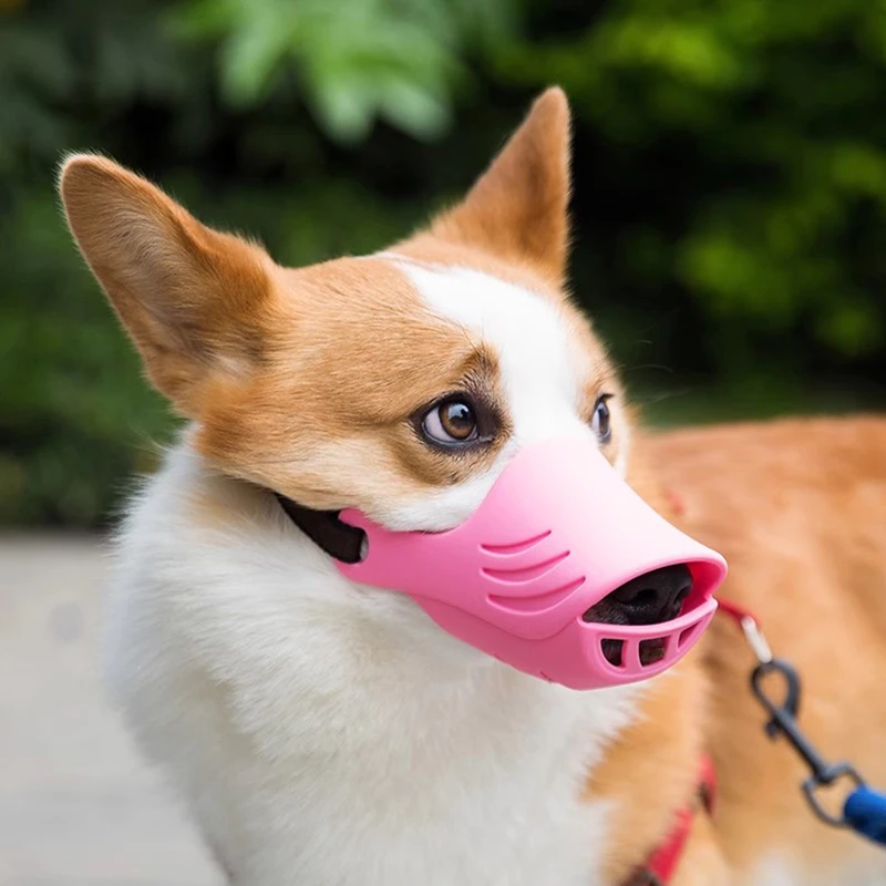 狗狗嘴套防咬防叫防乱吃狗口罩嘴罩止吠器小型中型犬宠物牙套4300