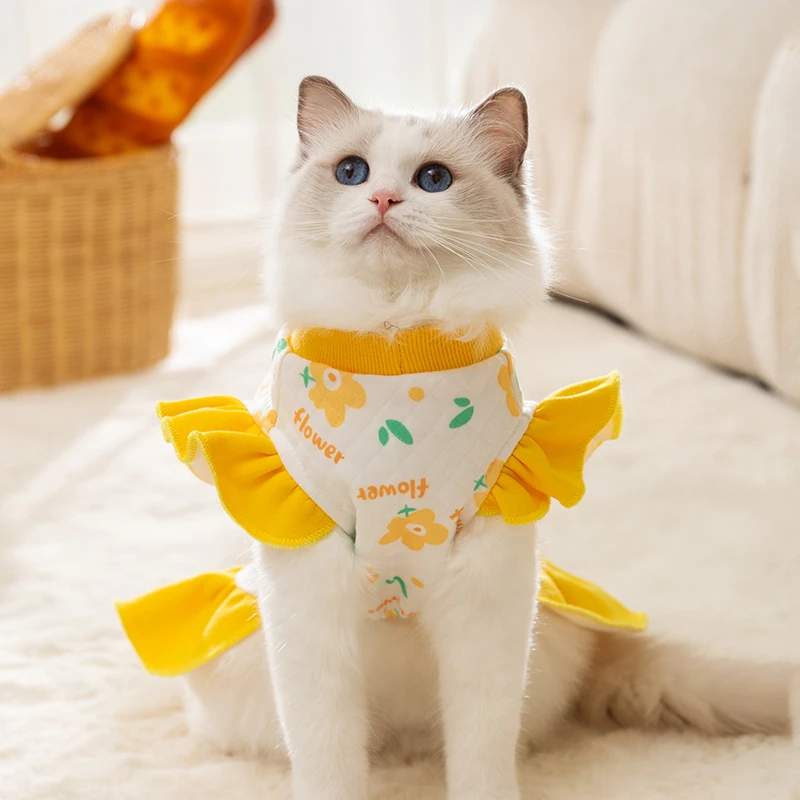 新款猫衣服秋季薄款裙子飞袖可牵引绳成猫幼猫保暖防掉毛宠物服饰