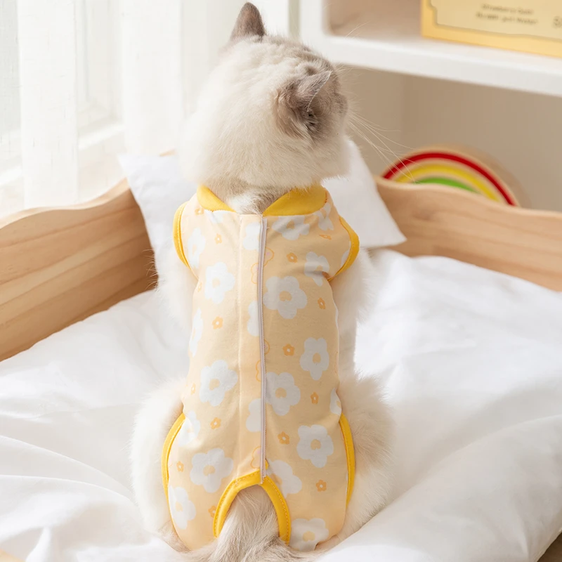 宠物猫咪可爱风后背魔术贴式包肚衣术后防舔猫四脚衣布偶英短6106