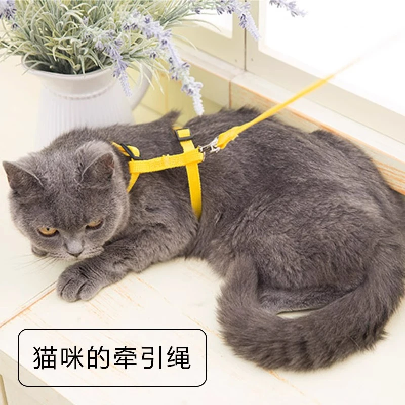 猫绳子牵引绳防挣脱家用溜猫绳项圈外出遛猫神奇幼猫背带猫咪4000
