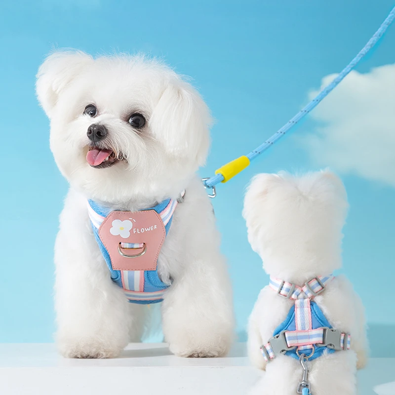 [达人]狗狗牵引绳胸背带比熊小中型犬背心式外出宠物遛狗绳子4660