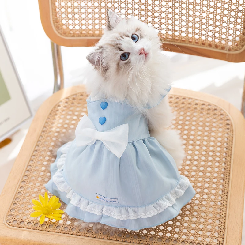 宠物小猫咪大蝴蝶结背带裙猫咪衣服防掉毛布偶猫英短美短春夏新款