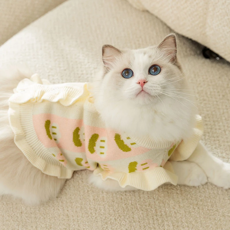 神经猫秋冬衣服可爱暖冬小猫咪提花木耳边飞袖毛衣宠物服防掉毛