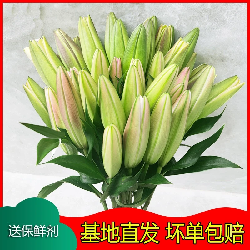 香水百合鲜花束康乃馨云南昆明基地水养小雏菊腊梅家用多头小玫瑰