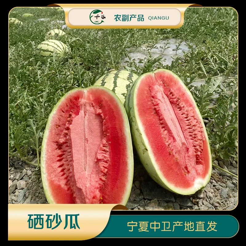 千谷宁夏中卫香山硒砂瓜12-22斤现摘现发不可抗力因素顺延10号发