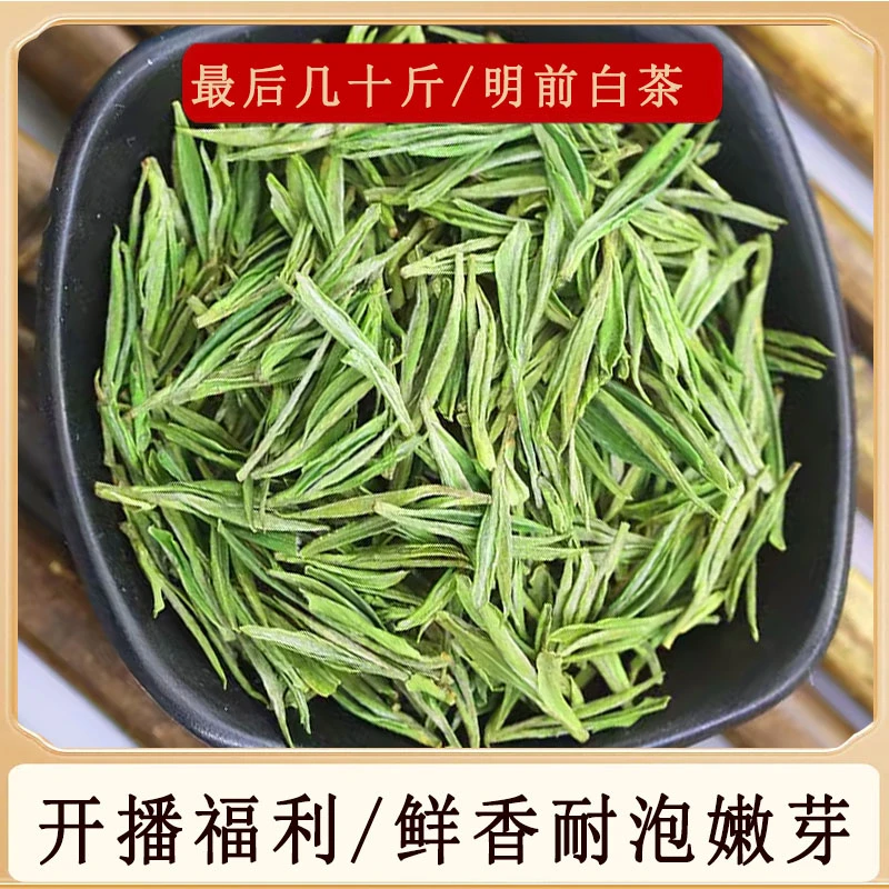 【价美物优/只有5斤】明前白茶茶叶绿茶春茶鲜香耐泡每天只有5斤