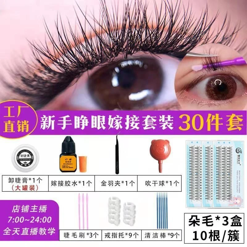 新手套装纯欲睫毛假睫毛自然仿真仙子毛新手素颜女单簇初学者细梗