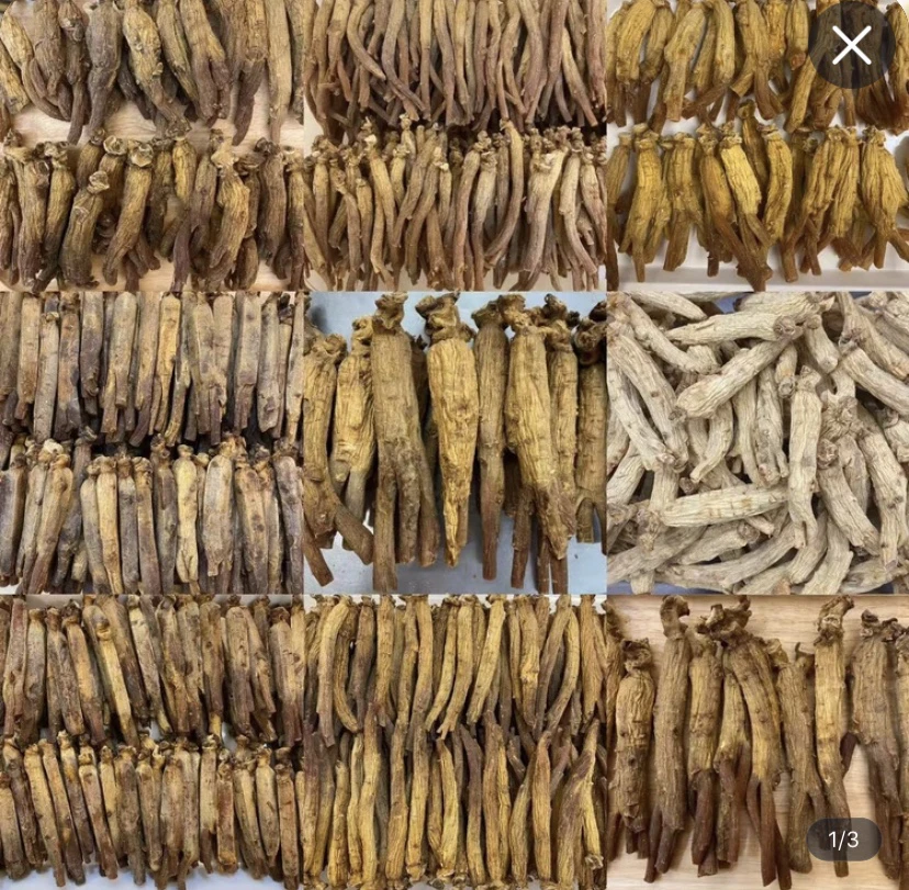 【2周年庆中秋】20y开成整齐大尾      桃胶