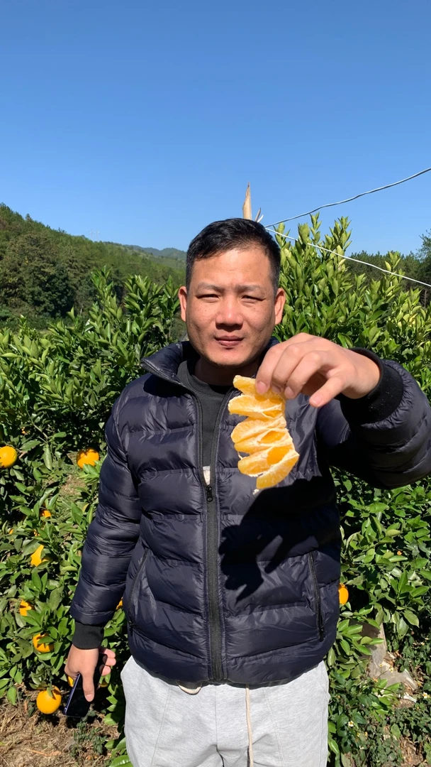 【农家果】脐橙新鲜橙子自家果园直发现摘现发皮薄多汁当季水果包邮