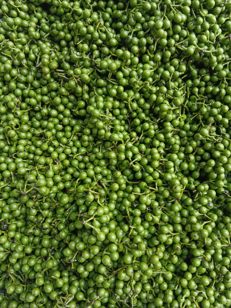 云南特产山胡椒枣