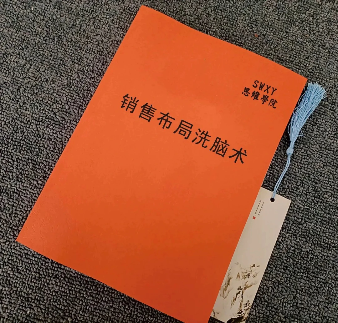 《销售布局洗脑术》回避现实的人，未来将更不理想成功励志书籍