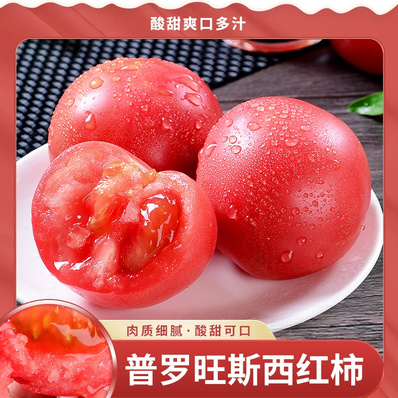 山东正宗海阳普罗旺斯精选西红柿4.5-5斤彩箱装酸甜可口番茄