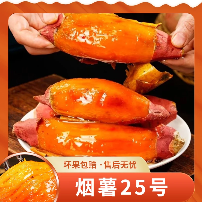 山东烟薯25号4.5斤约6-13根