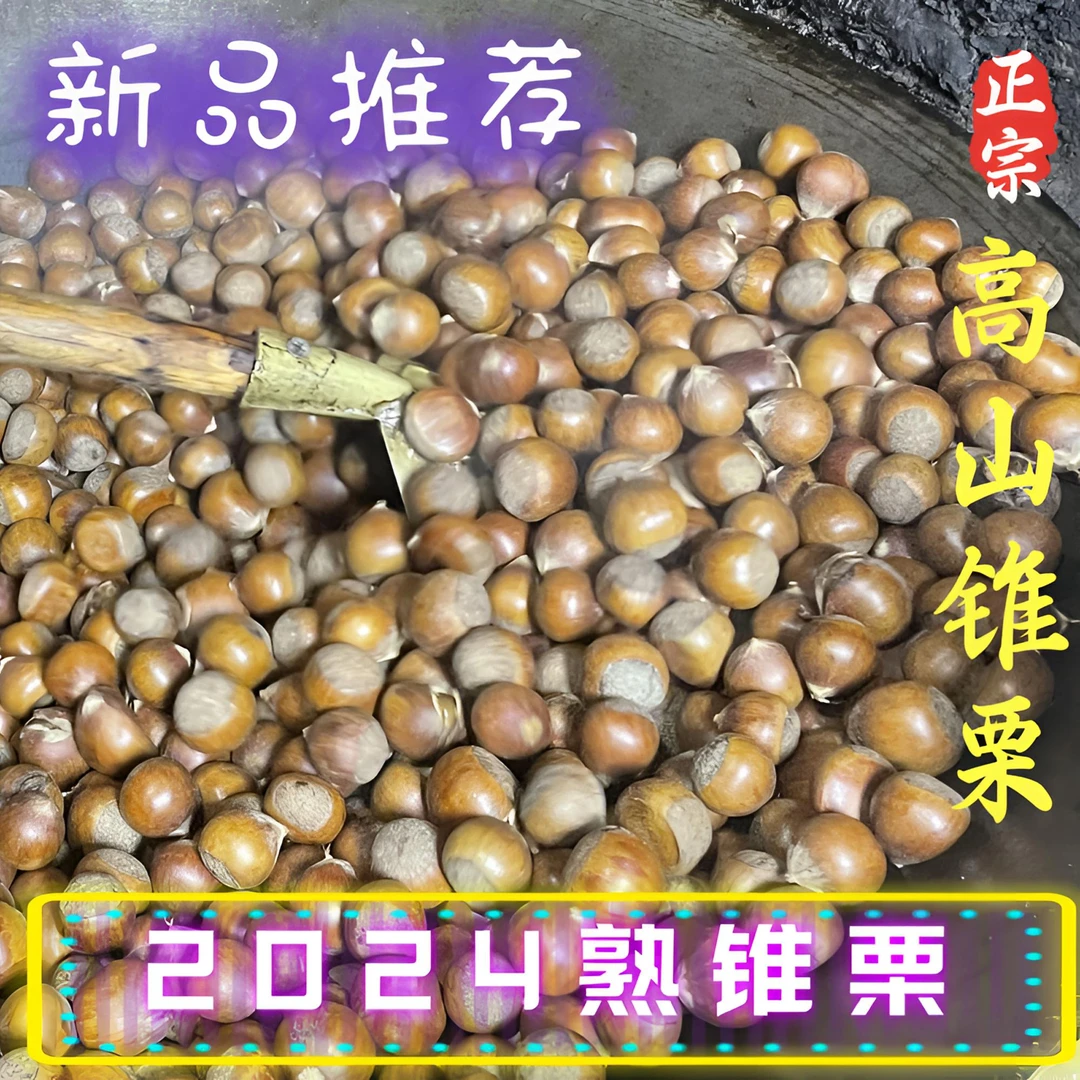 【熟食】2024高山锥栗油栗粉糯香甜