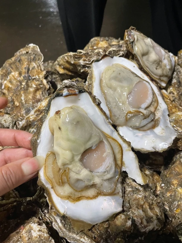 （双十一升级发)生蚝烟台北方冷水生蚝鲜活发货5斤装送芥末耗刀
