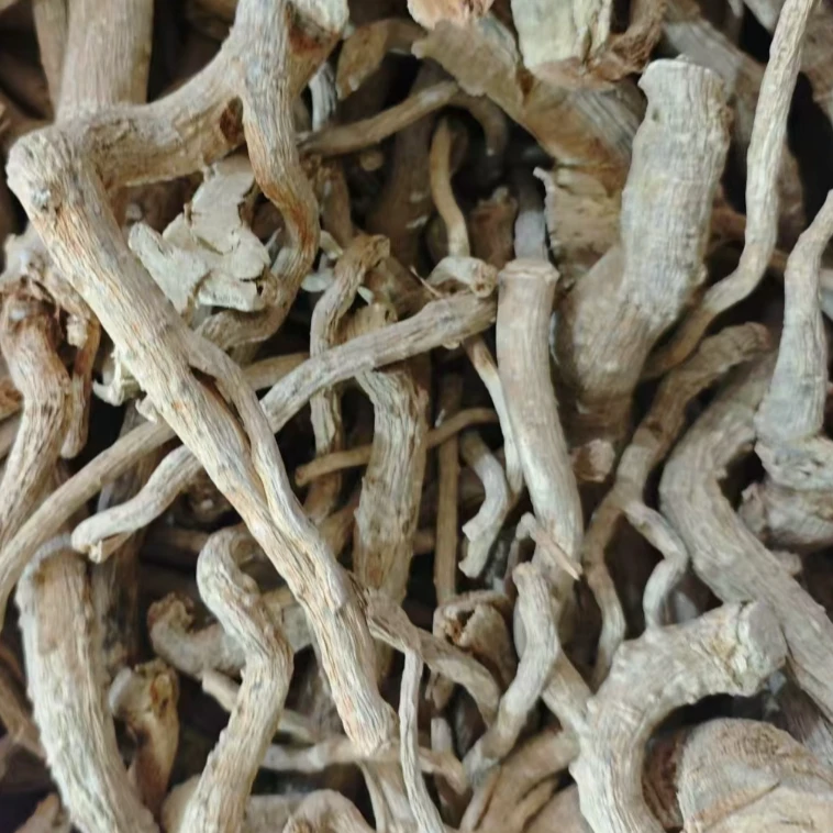 【阿海精选】下山货万年参