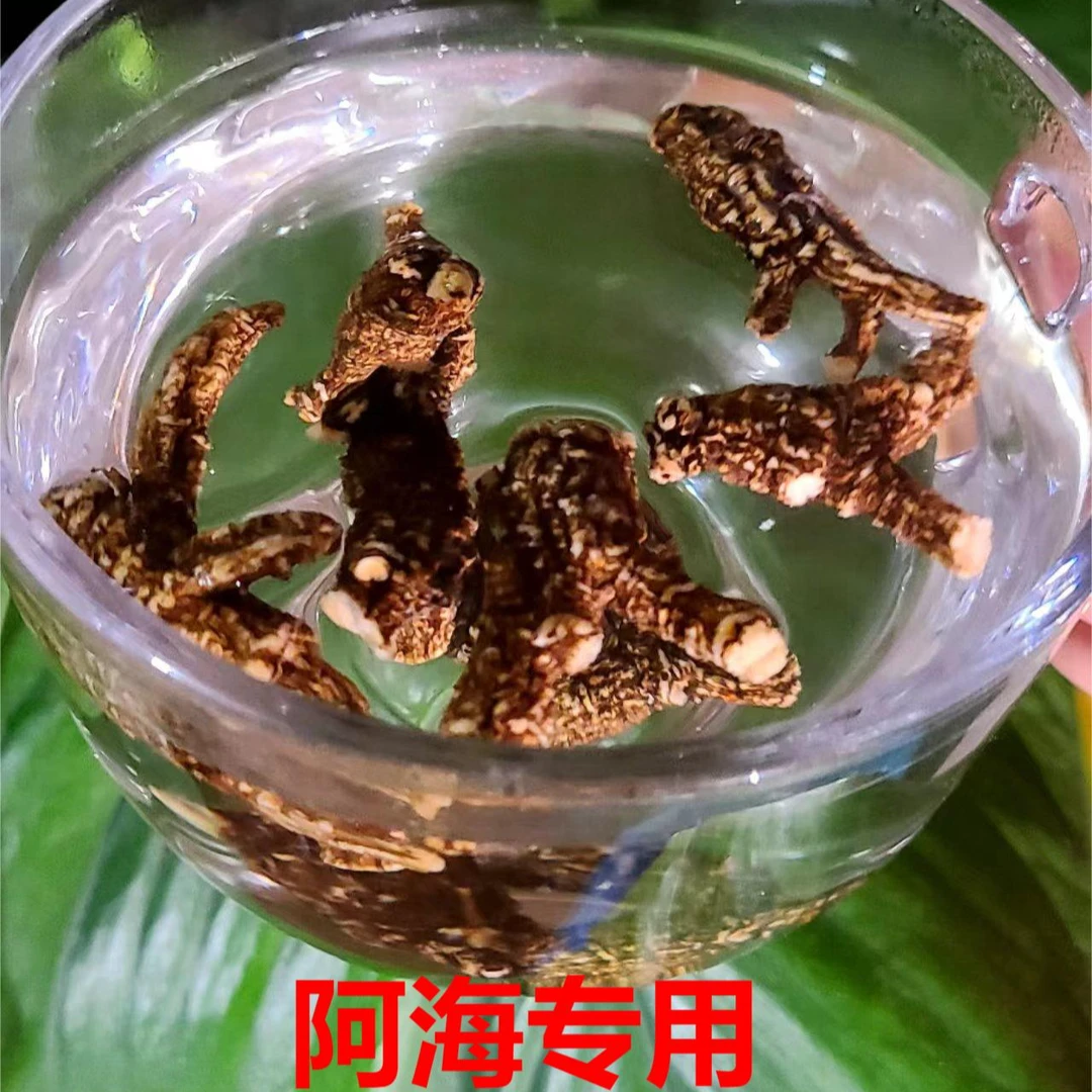 【阿海精选】下山货黑皮西洋参