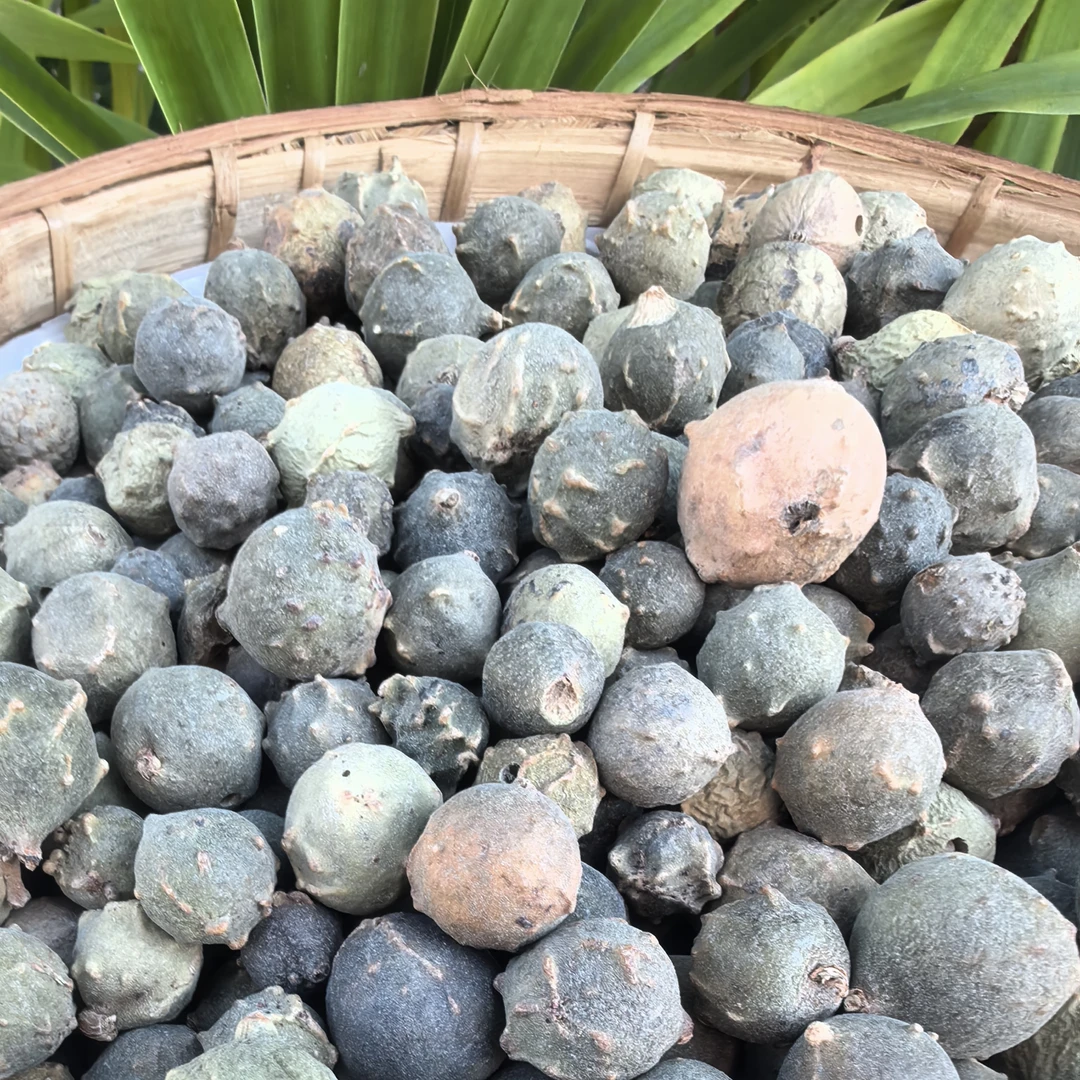 【阿海精选】土特产  春虫秋菓