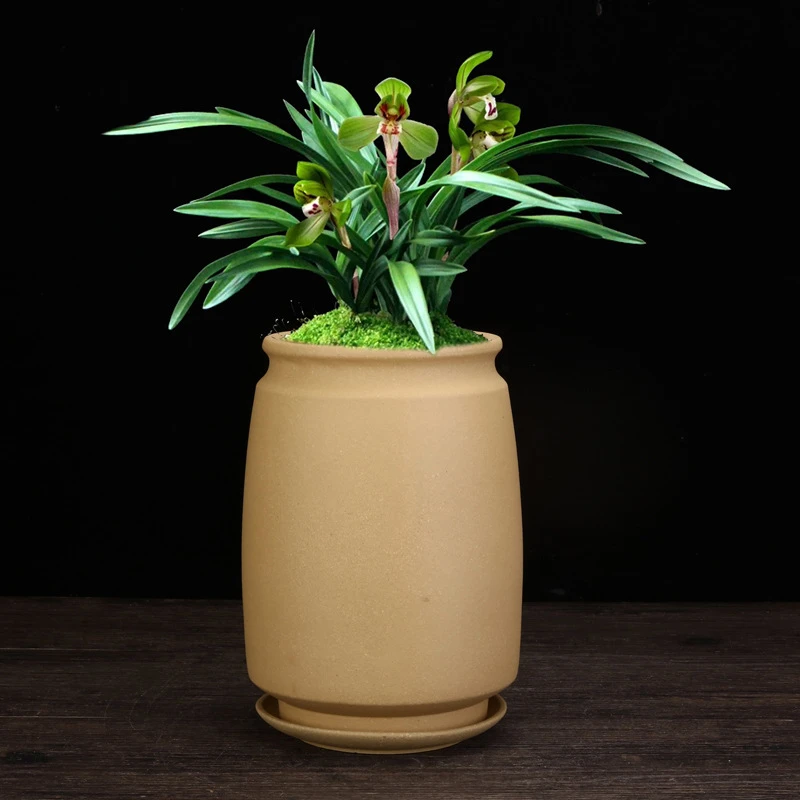 紫砂兰花盆君子兰文竹蕙春建兰客厅桌面古典手工陶瓷花卉绿植包邮