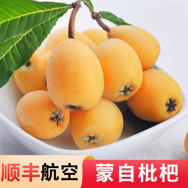 【顺丰特快】云南蒙自新鲜枇杷4斤大果礼盒装 新鲜水果 现摘现发