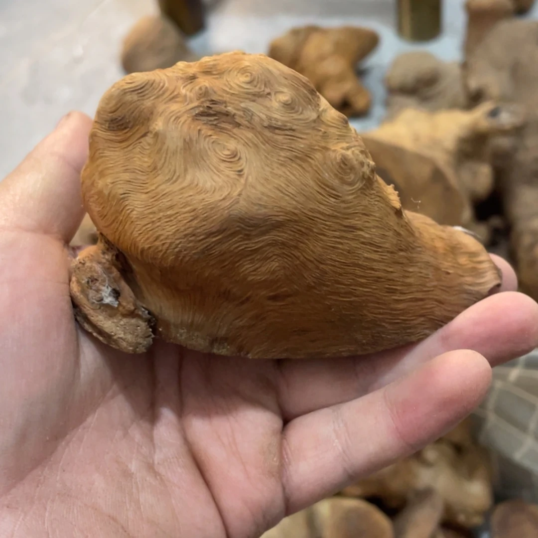 【闪购商品】荔枝木李*光