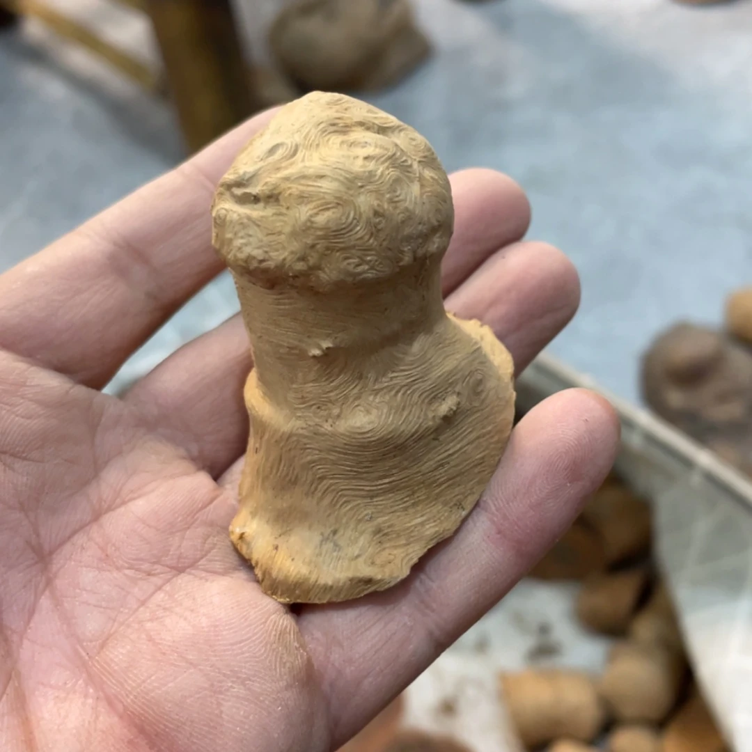 【闪购商品】荔枝木洛***?