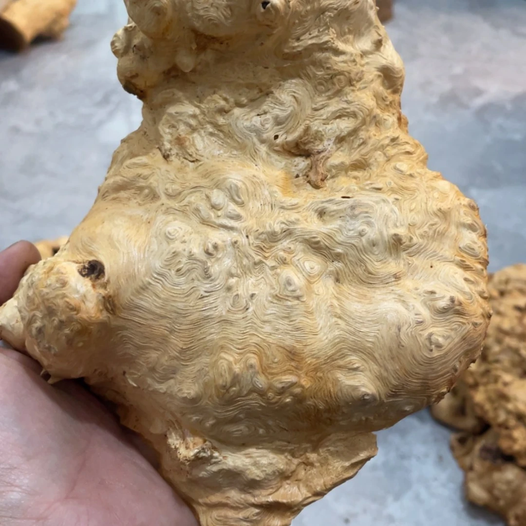 【闪购商品】荔枝木新**业
