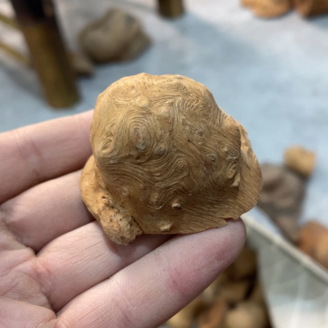 【闪购商品】荔枝木用****4