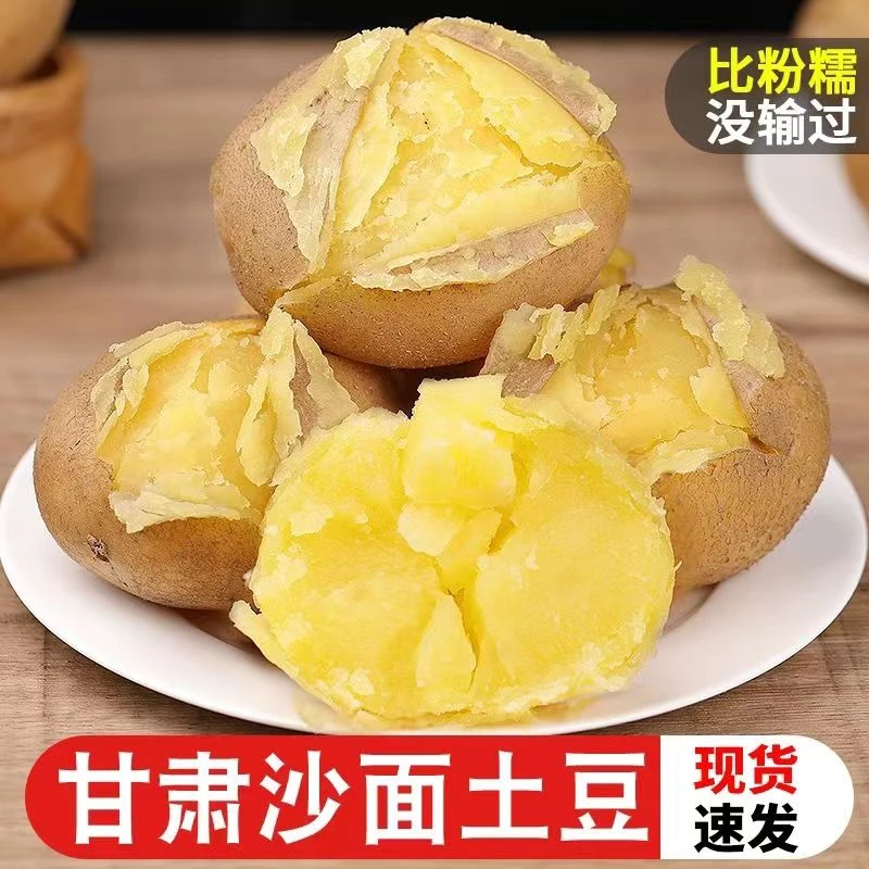甘肃定西土豆新鲜当季黄心马铃薯现挖现发5斤/9斤沙面洋芋