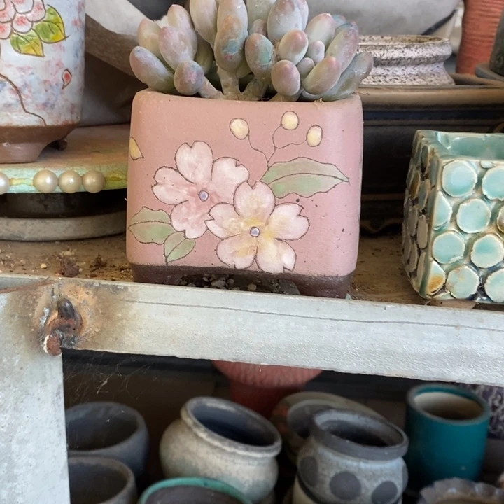 红陶20CM（含）-50CM（不含）