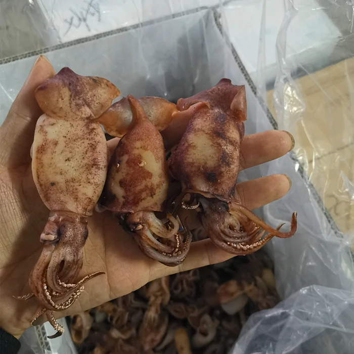 海兔鱿鱼筒 开肚 珠海特产 鱿鱼片海鲜干货 500g