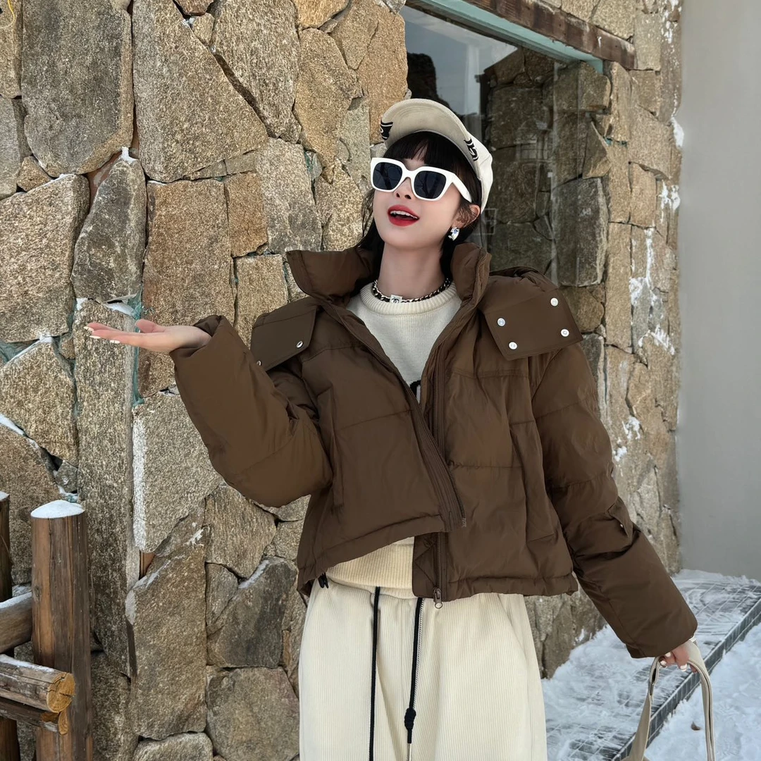 [直播间同价]短款冬季新款时尚简约百搭连帽加厚韩版羽绒服2463