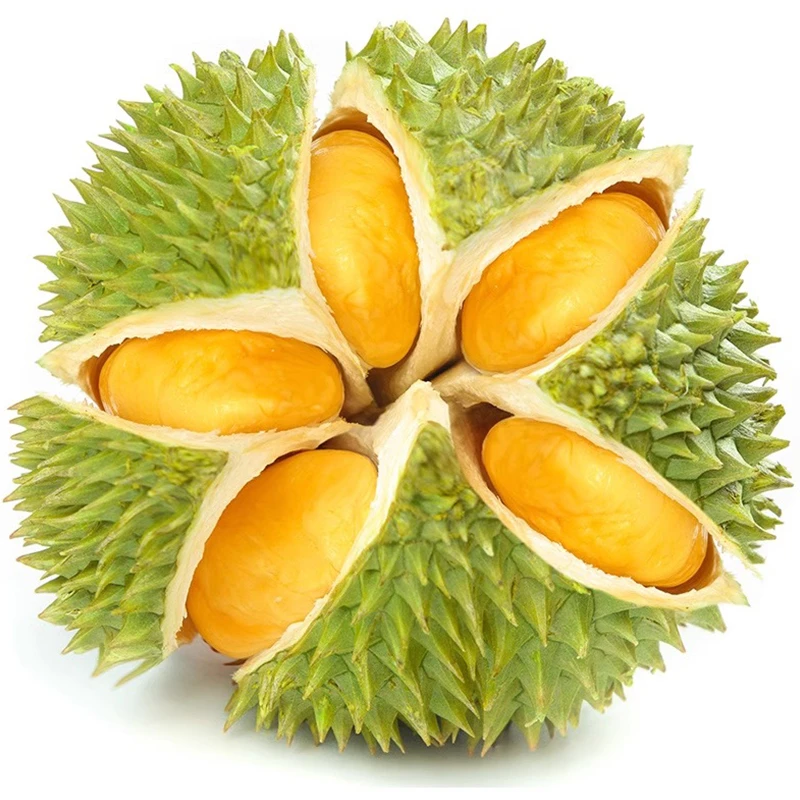 【小时达  福利】金枕榴莲A果【一物一拍】