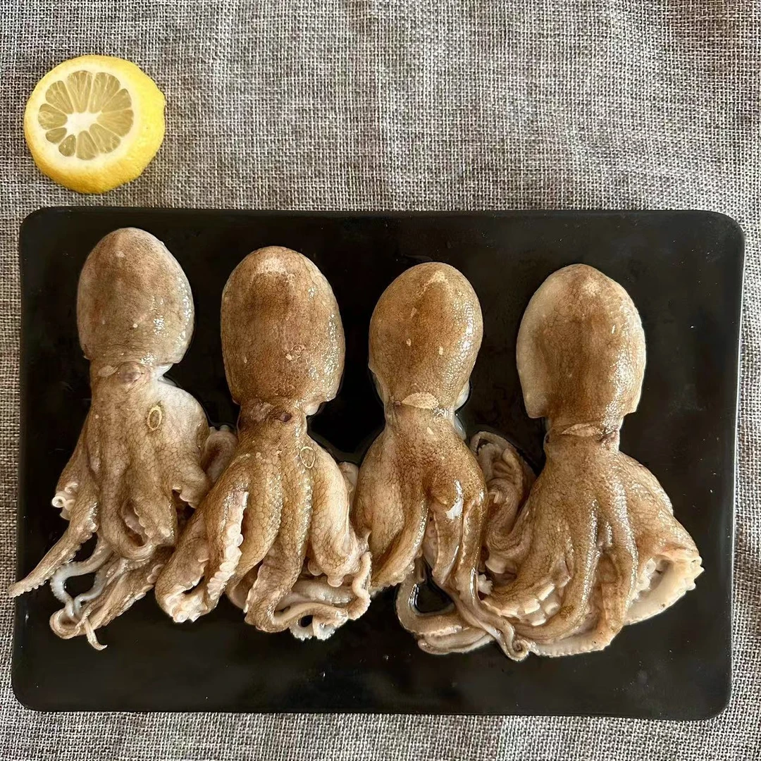 日照本地新鲜短腿大八爪鱼速冻发货 麻辣爆炒500g/包*4包火锅食材