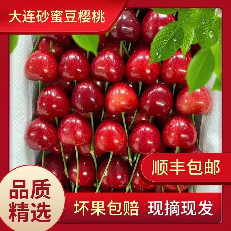 辽宁【大沙蜜】大连樱桃新鲜脆甜多汁肉厚核小3/ 5斤顺丰空运包邮