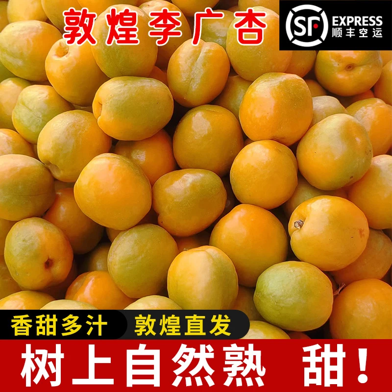 甘肃敦煌李广杏新鲜现摘当季黄杏农家自种金黄大杏子酸甜水果