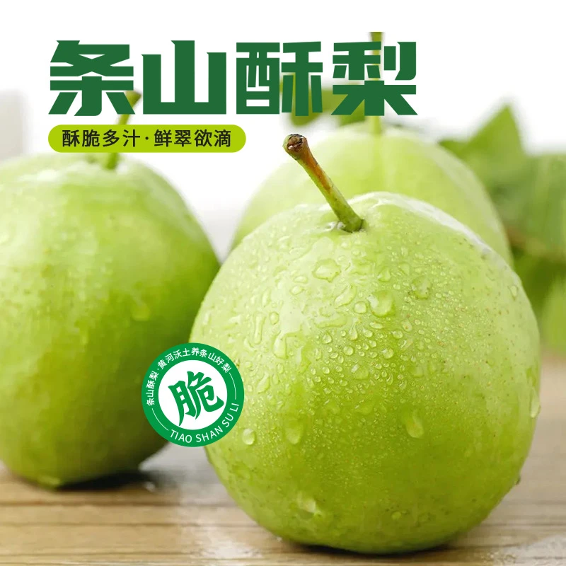 甘肃特产梨子早酥梨条山酥梨脆甜多汁新鲜水果梨秋梨箱装产地直发