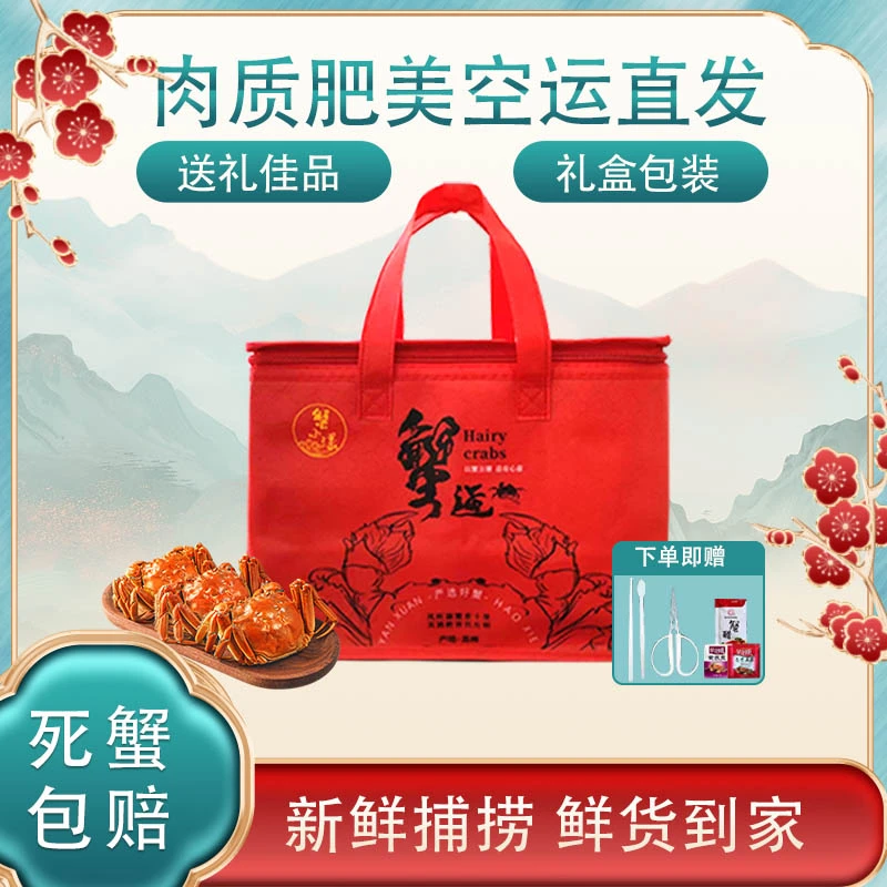 【活蟹现发M】精品大闸蟹母蟹2.5-2.3两8只+送2只共10只顺丰包邮