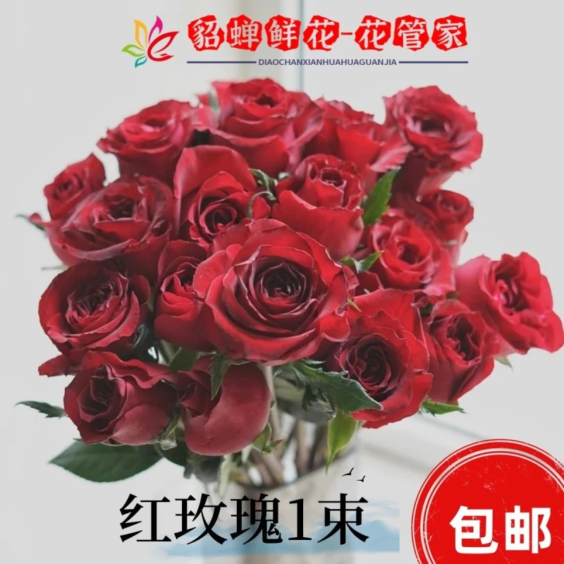 鲜花 35支红色系玫瑰 生鲜不支持已发货退款