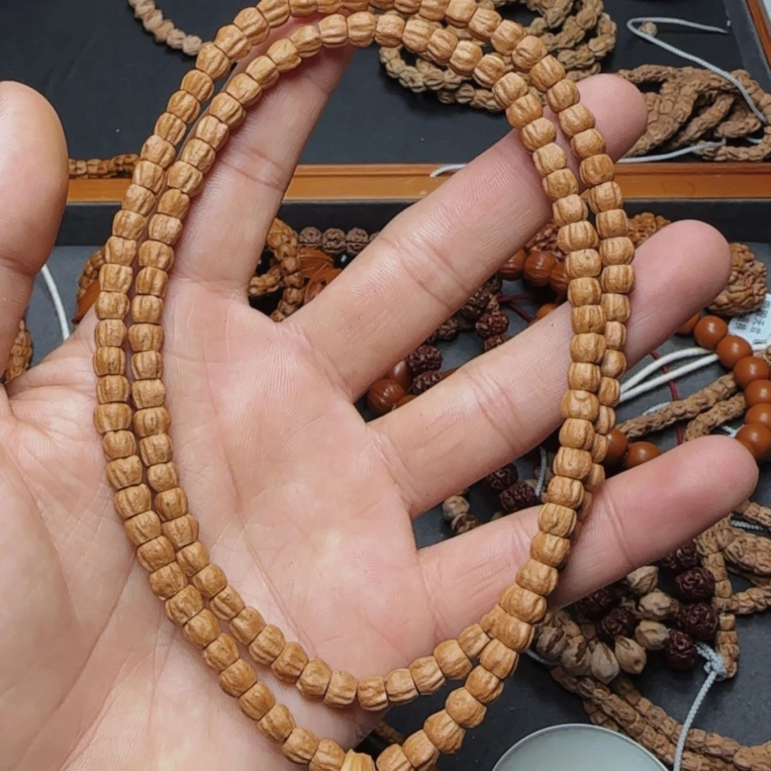 【闪购商品】柏香籽/百香籽吊坠苗*