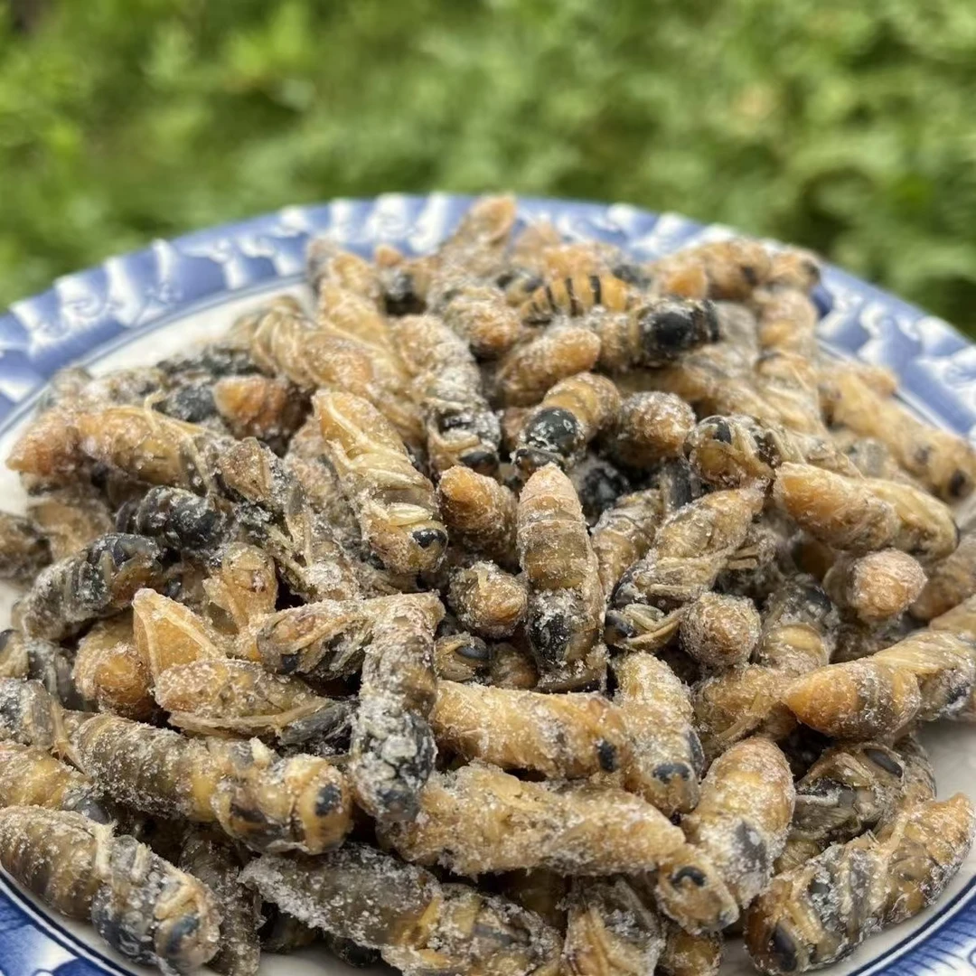 昆明马蜂仔四级葫芦蜂云南本地蜂种