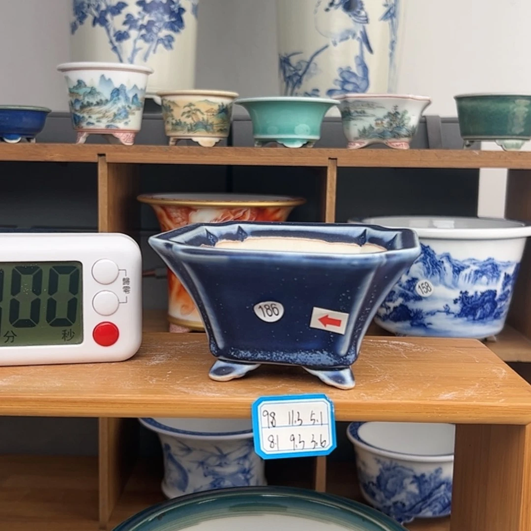 【闪购商品】红陶171cm(含)-200cm(含)初***你