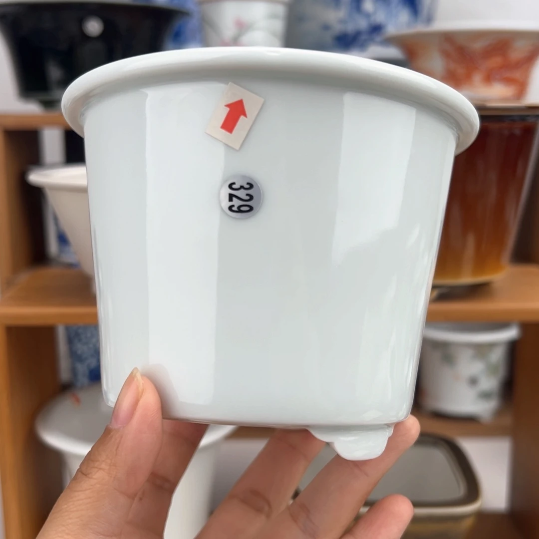 红陶双十一福利价