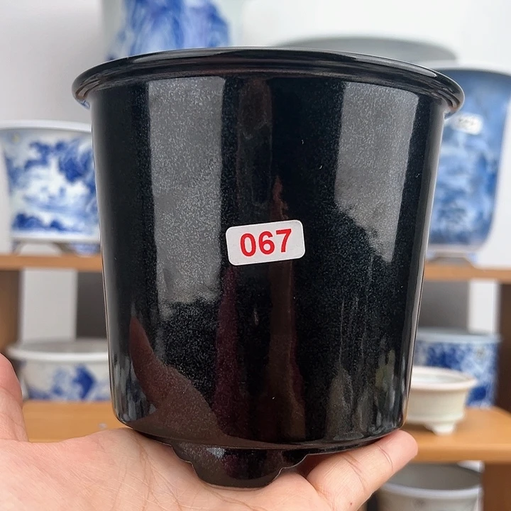 红陶20CM（含）-50CM（不含）