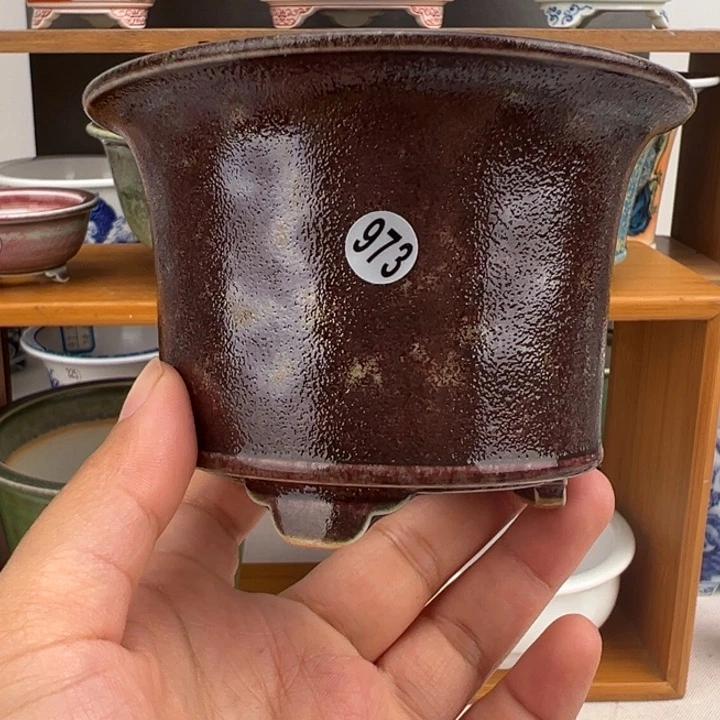 红陶20CM（含）-50CM（不含）