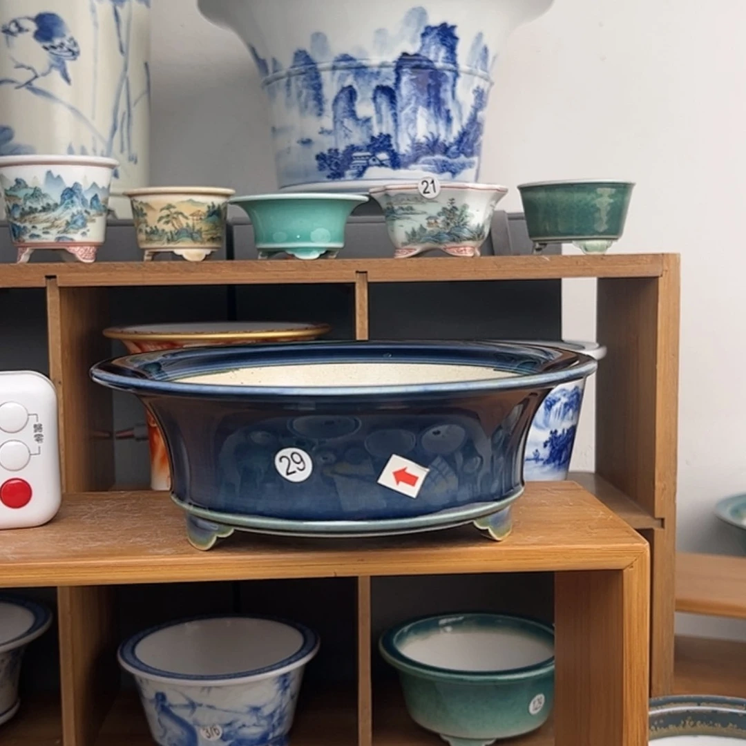 【闪购商品】红陶15cm以下大****7