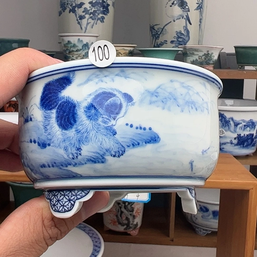 【闪购商品】红陶15cm以下云**舒