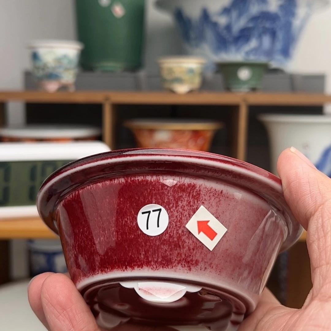 【闪购商品】红陶15cm以下彦**宇