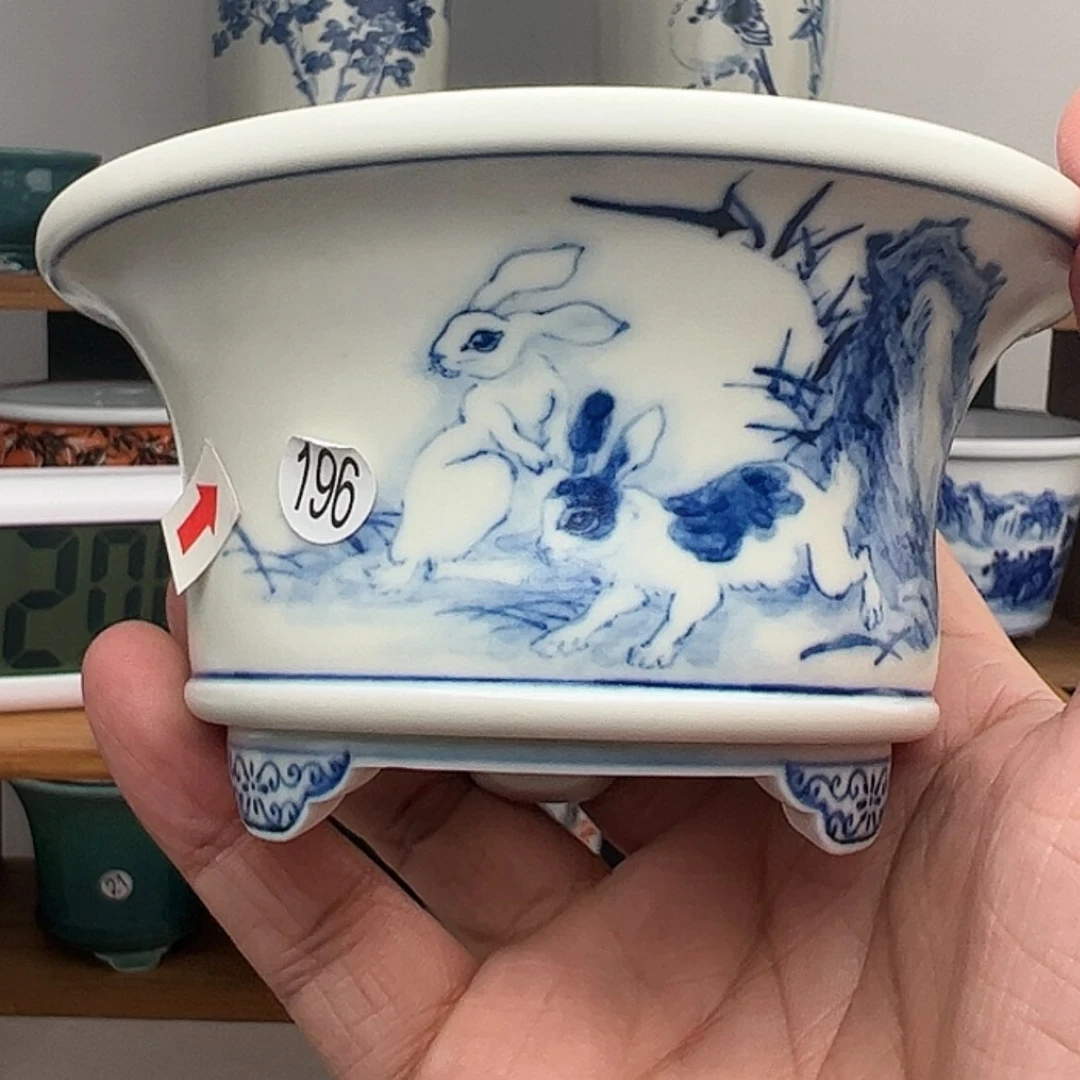 【闪购商品】红陶15cm以下茗